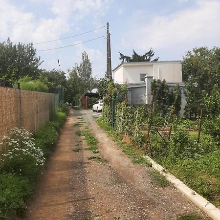 דירות ברנו Dum V Brne מראה חיצוני תמונה